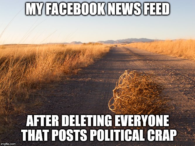 Its sad because its true. | MY FACEBOOK NEWS FEED; AFTER DELETING EVERYONE THAT POSTS POLITICAL CRAP | image tagged in memes | made w/ Imgflip meme maker