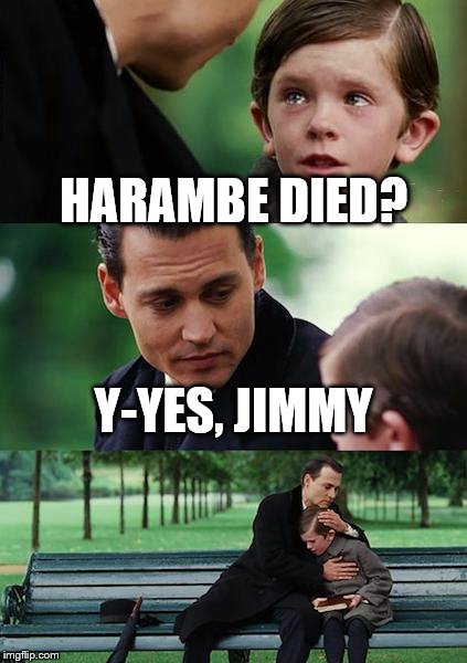 Finding Neverland | HARAMBE DIED? Y-YES, JIMMY | image tagged in memes,finding neverland | made w/ Imgflip meme maker