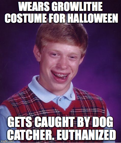 Bad Luck Brian | WEARS GROWLITHE COSTUME FOR HALLOWEEN; GETS CAUGHT BY DOG CATCHER. EUTHANIZED | image tagged in memes,bad luck brian | made w/ Imgflip meme maker