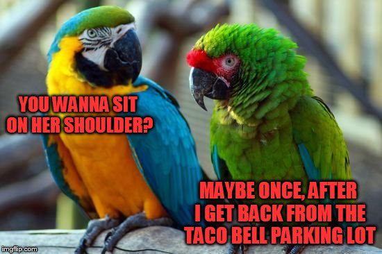 YOU WANNA SIT ON HER SHOULDER? MAYBE ONCE, AFTER I GET BACK FROM THE TACO BELL PARKING LOT | made w/ Imgflip meme maker