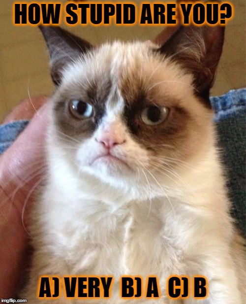 Grumpy Cat Meme | HOW STUPID ARE YOU? A) VERY  B) A  C) B | image tagged in memes,grumpy cat | made w/ Imgflip meme maker