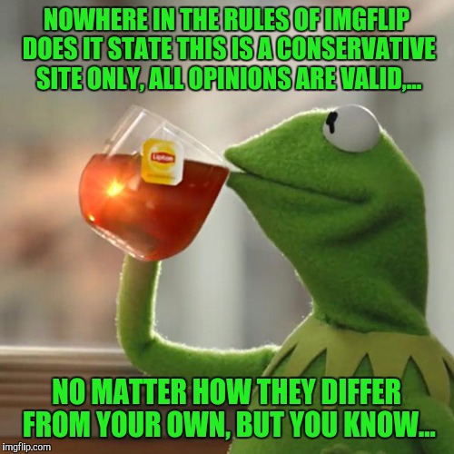 Cons say this,  libs say that, how about you both shut up and meme. | NOWHERE IN THE RULES OF IMGFLIP DOES IT STATE THIS IS A CONSERVATIVE SITE ONLY, ALL OPINIONS ARE VALID,... NO MATTER HOW THEY DIFFER FROM YOUR OWN, BUT YOU KNOW... | image tagged in memes,but thats none of my business,kermit the frog,sewmyeyesshut | made w/ Imgflip meme maker