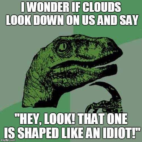 Philosoraptor | I WONDER IF CLOUDS LOOK DOWN ON US AND SAY; "HEY, LOOK! THAT ONE IS SHAPED LIKE AN IDIOT!" | image tagged in memes,philosoraptor | made w/ Imgflip meme maker