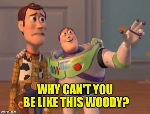 X, X Everywhere Meme | WHY CAN'T YOU BE LIKE THIS WOODY? | image tagged in memes,x x everywhere | made w/ Imgflip meme maker