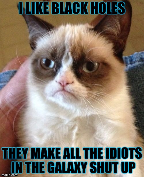 Idiots vs. Space | I LIKE BLACK HOLES; THEY MAKE ALL THE IDIOTS IN THE GALAXY SHUT UP | image tagged in memes,grumpy cat | made w/ Imgflip meme maker