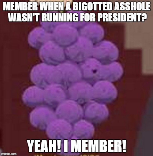 MEMBER YEAAAAH I MEMBER! | MEMBER WHEN A BIGOTTED ASSHOLE WASN'T RUNNING FOR PRESIDENT? YEAH! I MEMBER! | image tagged in south park,funny memes,member-berries,anti trump meme | made w/ Imgflip meme maker