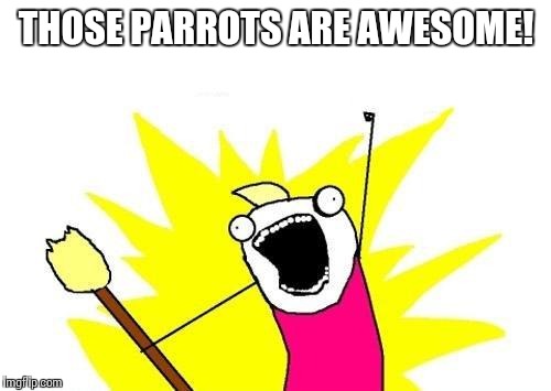 X All The Y Meme | THOSE PARROTS ARE AWESOME! | image tagged in memes,x all the y | made w/ Imgflip meme maker