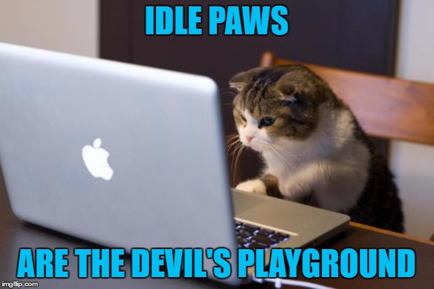Cat using computer | IDLE PAWS; ARE THE DEVIL'S PLAYGROUND | image tagged in cat using computer | made w/ Imgflip meme maker