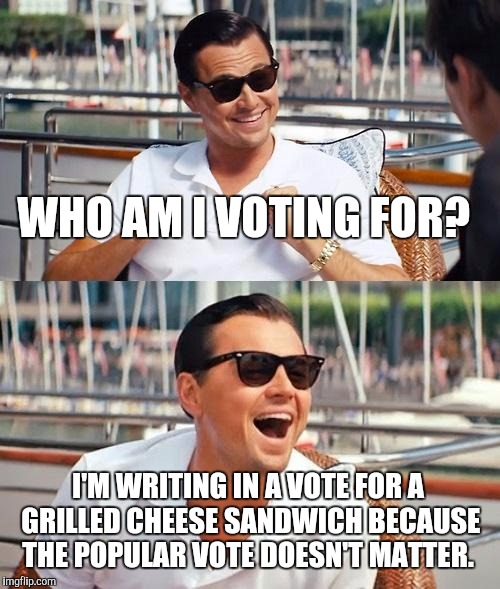 Leonardo Dicaprio Wolf Of Wall Street Meme | WHO AM I VOTING FOR? I'M WRITING IN A VOTE FOR A GRILLED CHEESE SANDWICH BECAUSE THE POPULAR VOTE DOESN'T MATTER. | image tagged in memes,leonardo dicaprio wolf of wall street | made w/ Imgflip meme maker
