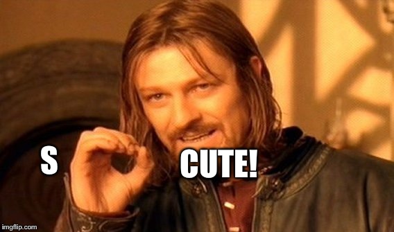 One Does Not Simply Meme | S CUTE! | image tagged in memes,one does not simply | made w/ Imgflip meme maker