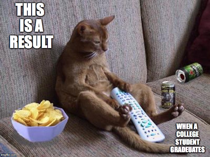 Couch Potato | THIS IS A RESULT; WHEN A COLLEGE STUDENT GRADEUATES | image tagged in couch potato,college,memes | made w/ Imgflip meme maker