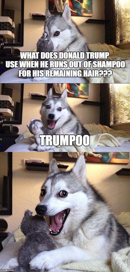 Is this why Donald Trump has ugly hair? | WHAT DOES DONALD TRUMP USE WHEN HE RUNS OUT OF SHAMPOO FOR HIS REMAINING HAIR??? TRUMPOO | image tagged in memes,bad pun dog | made w/ Imgflip meme maker