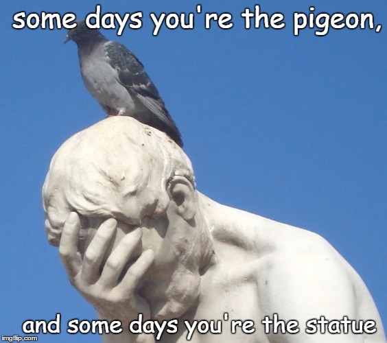 some days you're the pigeon... | some days you're the pigeon, and some days you're the statue | image tagged in unlucky,shit happens,the bird,statue | made w/ Imgflip meme maker