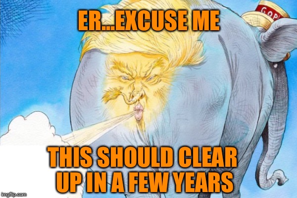 The GOP Does Not Equal Trump | ER...EXCUSE ME; THIS SHOULD CLEAR UP IN A FEW YEARS | image tagged in donald trump | made w/ Imgflip meme maker