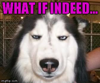 WHAT IF INDEED... | made w/ Imgflip meme maker
