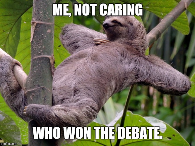 Lazy Sloth | ME, NOT CARING; WHO WON THE DEBATE. | image tagged in lazy sloth | made w/ Imgflip meme maker