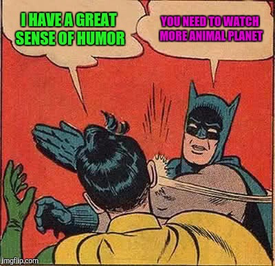 Batman Slapping Robin Meme | I HAVE A GREAT SENSE OF HUMOR YOU NEED TO WATCH MORE ANIMAL PLANET | image tagged in memes,batman slapping robin | made w/ Imgflip meme maker