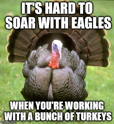 Turkey Meme | IT'S HARD TO SOAR WITH EAGLES; WHEN YOU'RE WORKING WITH A BUNCH OF TURKEYS | image tagged in memes,turkey | made w/ Imgflip meme maker