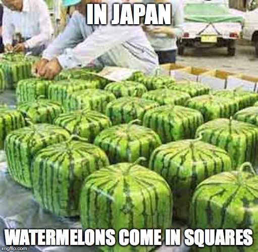 Square Watermelons | IN JAPAN; WATERMELONS COME IN SQUARES | image tagged in watermelon,memes | made w/ Imgflip meme maker