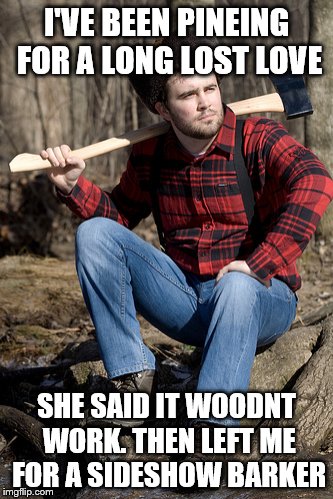 Solemn Lumberjack |  I'VE BEEN PINEING FOR A LONG LOST LOVE; SHE SAID IT WOODNT WORK. THEN LEFT ME FOR A SIDESHOW BARKER | image tagged in memes,solemn lumberjack | made w/ Imgflip meme maker