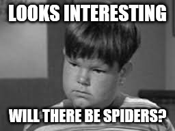 LOOKS INTERESTING WILL THERE BE SPIDERS? | made w/ Imgflip meme maker