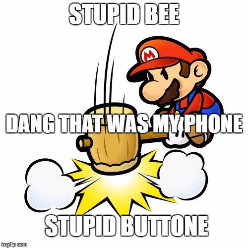 Mario Hammer Smash Meme | STUPID BEE; DANG THAT WAS MY PHONE; STUPID BUTTONE | image tagged in memes,mario hammer smash | made w/ Imgflip meme maker