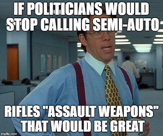 That Would Be Great Meme | IF POLITICIANS WOULD STOP CALLING SEMI-AUTO; RIFLES "ASSAULT WEAPONS" THAT WOULD BE GREAT | image tagged in memes,that would be great | made w/ Imgflip meme maker