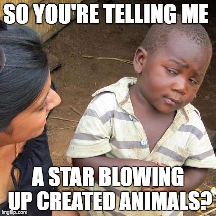 Third World Skeptical Kid Meme | SO YOU'RE TELLING ME; A STAR BLOWING UP CREATED ANIMALS? | image tagged in memes,third world skeptical kid | made w/ Imgflip meme maker