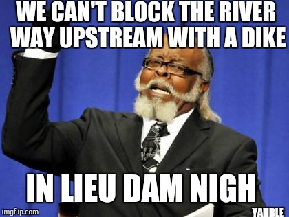 Too Damn High | WE CAN'T BLOCK THE RIVER WAY UPSTREAM WITH A DIKE; IN LIEU DAM NIGH; YAHBLE | image tagged in memes,too damn high | made w/ Imgflip meme maker