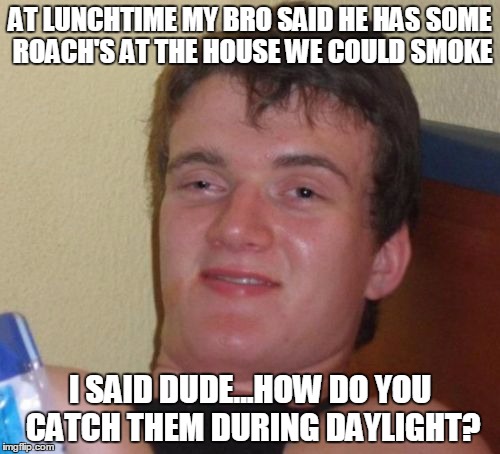 10 Guy Meme | AT LUNCHTIME MY BRO SAID HE HAS SOME ROACH'S AT THE HOUSE WE COULD SMOKE; I SAID DUDE...HOW DO YOU CATCH THEM DURING DAYLIGHT? | image tagged in memes,10 guy | made w/ Imgflip meme maker