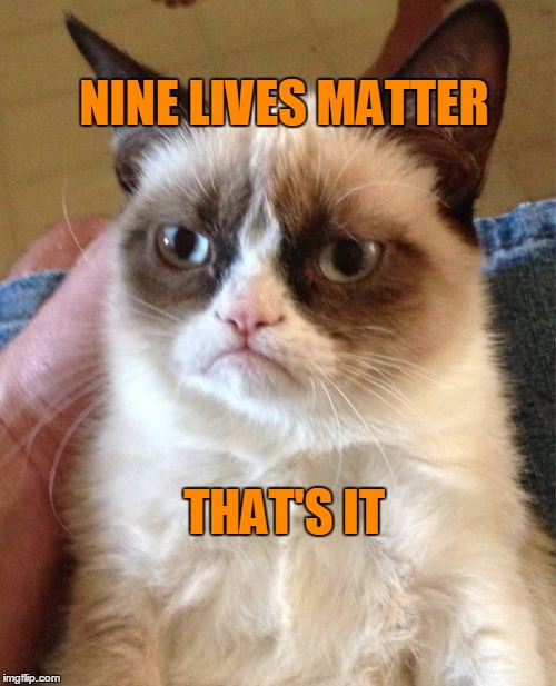 Grumpy Cat Meme | NINE LIVES MATTER THAT'S IT | image tagged in memes,grumpy cat | made w/ Imgflip meme maker