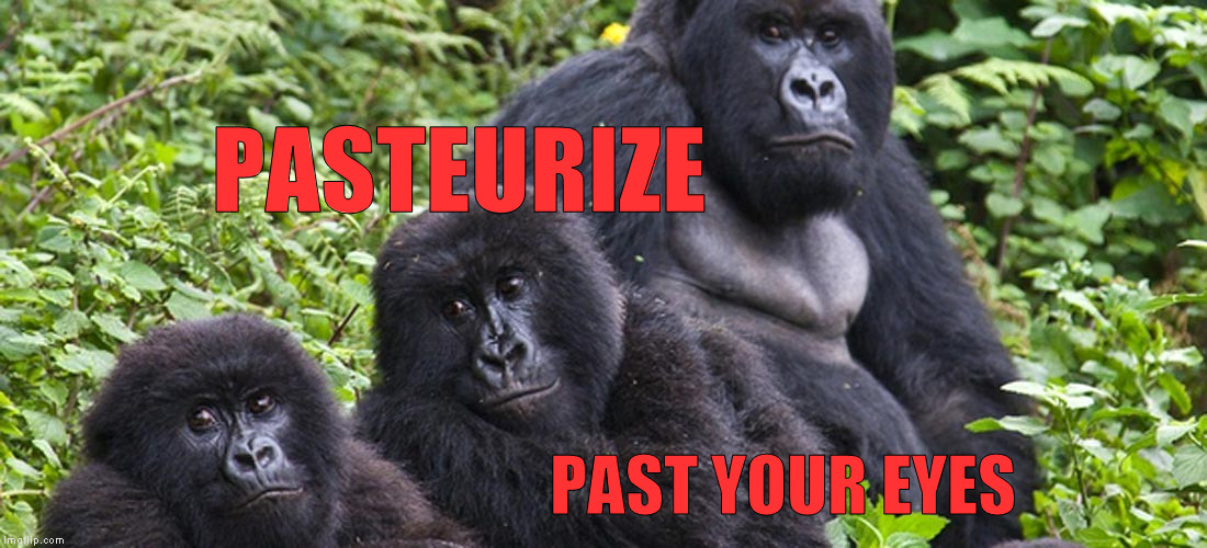 PASTEURIZE PAST YOUR EYES | made w/ Imgflip meme maker