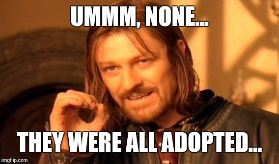 One Does Not Simply Meme | UMMM, NONE... THEY WERE ALL ADOPTED... | image tagged in memes,one does not simply | made w/ Imgflip meme maker
