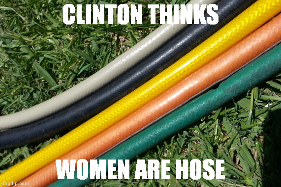 Hose of All Colors | CLINTON THINKS WOMEN ARE HOSE | image tagged in hose of all colors | made w/ Imgflip meme maker