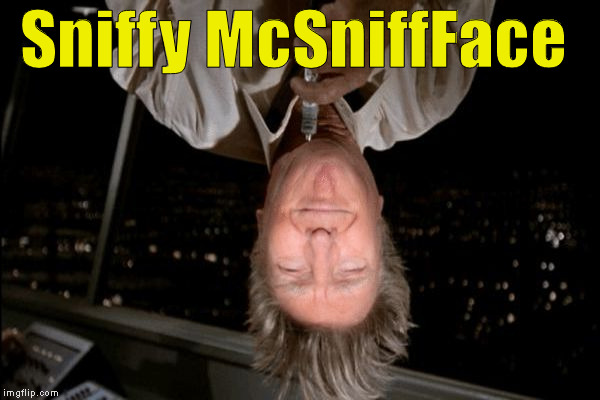Donald Trump aka Sniffy McSniffFace  | Sniffy McSniffFace | image tagged in sniffy donald,sniffy mcsniffface,make donald drumpf again,donald trump,trump,sniff | made w/ Imgflip meme maker