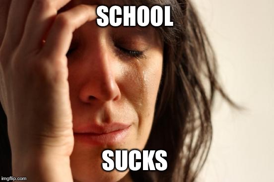 Being a High school sophomore sucks, can't make memes | SCHOOL; SUCKS | image tagged in memes,first world problems | made w/ Imgflip meme maker