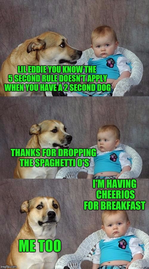 Dad Joke Dog | LIL EDDIE YOU KNOW THE 5 SECOND RULE DOESN'T APPLY WHEN YOU HAVE A 2 SECOND DOG; THANKS FOR DROPPING THE SPAGHETTI O'S; I'M HAVING CHEERIOS FOR BREAKFAST; ME TOO | image tagged in memes,dad joke dog | made w/ Imgflip meme maker