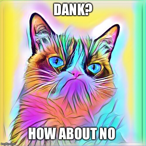 DANK? HOW ABOUT NO | made w/ Imgflip meme maker