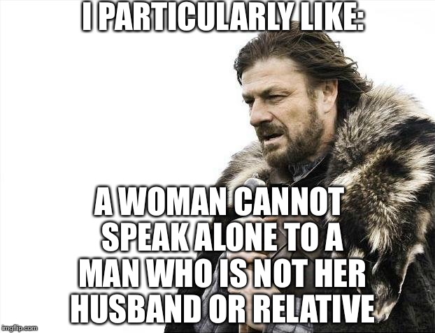 Brace Yourselves X is Coming Meme | I PARTICULARLY LIKE: A WOMAN CANNOT SPEAK ALONE TO A MAN WHO IS NOT HER HUSBAND OR RELATIVE | image tagged in memes,brace yourselves x is coming | made w/ Imgflip meme maker