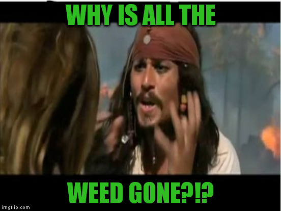 WHY IS ALL THE WEED GONE?!? | made w/ Imgflip meme maker