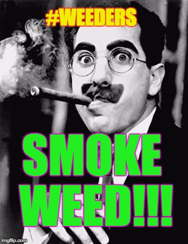 smoke weed | #WEEDERS; SMOKE WEED!!! | image tagged in smoke,weed,medical marijuana,cannabis,funny memes | made w/ Imgflip meme maker