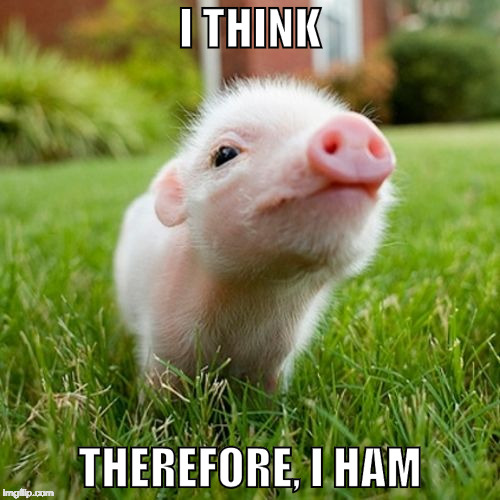 That's deep....dish pizza with extra bacon. | I THINK; THEREFORE, I HAM | image tagged in piggy,bacon,iwanttobebacon,philosophy | made w/ Imgflip meme maker