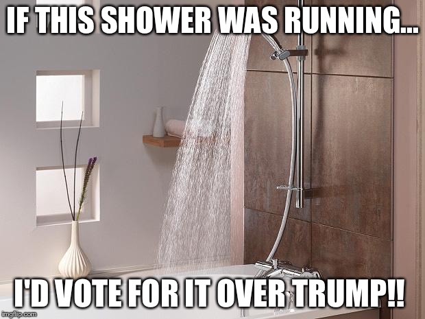 SHOWER BATH | IF THIS SHOWER WAS RUNNING... I'D VOTE FOR IT OVER TRUMP!! | image tagged in shower bath | made w/ Imgflip meme maker