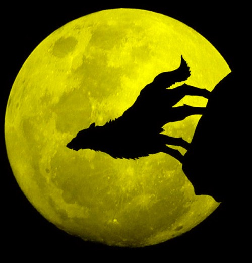 Howling Wolf Pacmoon | image tagged in memes,howling wolf,moon silhouette,pacman,pacmoon,headfoot | made w/ Imgflip meme maker