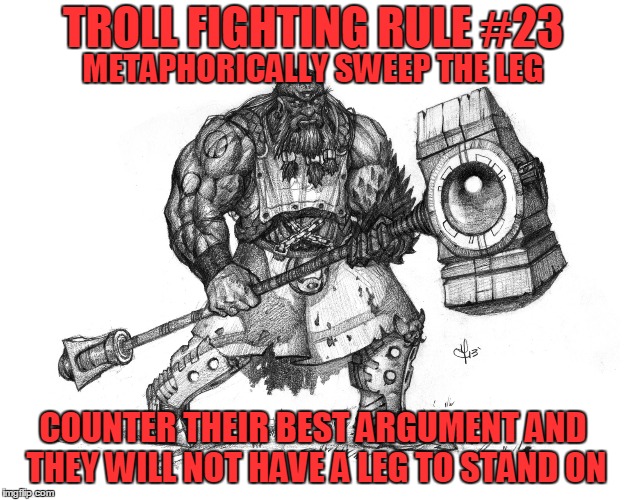 Troll Fighting Rule #23 | TROLL FIGHTING RULE #23; METAPHORICALLY SWEEP THE LEG; COUNTER THEIR BEST ARGUMENT AND THEY WILL NOT HAVE A LEG TO STAND ON | image tagged in troll smasher | made w/ Imgflip meme maker
