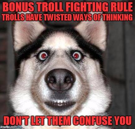 Bonus Troll Fighting Rule | BONUS TROLL FIGHTING RULE; TROLLS HAVE TWISTED WAYS OF THINKING; DON'T LET THEM CONFUSE YOU | image tagged in dog - what | made w/ Imgflip meme maker