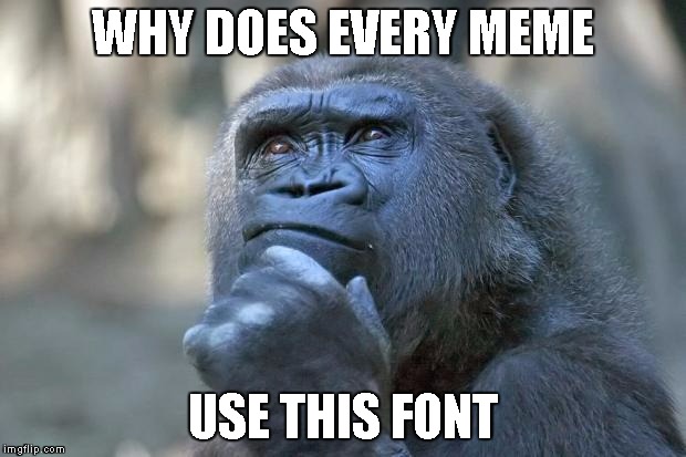 that is the question | WHY DOES EVERY MEME; USE THIS FONT | image tagged in that is the question | made w/ Imgflip meme maker