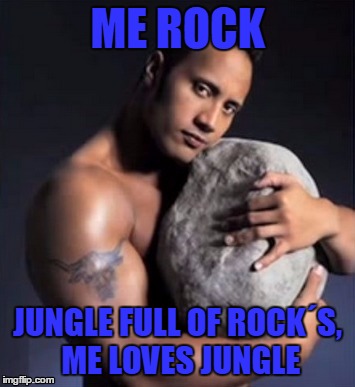 Rock in the Jungle | ME ROCK; JUNGLE FULL OF ROCK´S, ME LOVES JUNGLE | image tagged in funny,meme | made w/ Imgflip meme maker