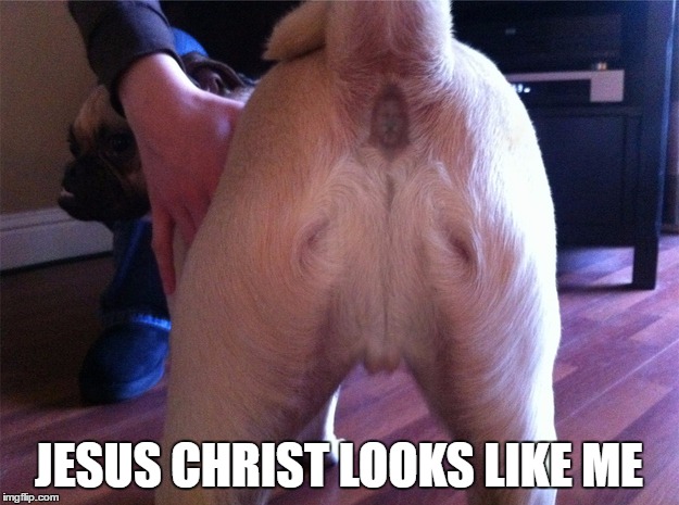 Jesus Christ looks like me | JESUS CHRIST LOOKS LIKE ME | image tagged in jesus,christ,butt,bum,arse,dog | made w/ Imgflip meme maker
