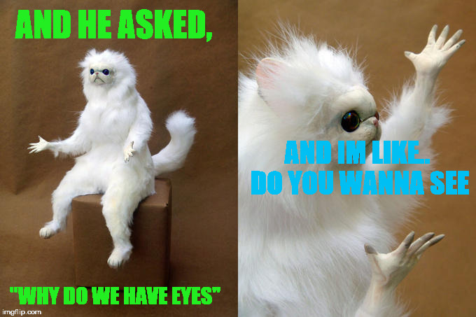 Persian Cat Room Guardian | AND HE ASKED, AND IM LIKE.. DO YOU WANNA SEE; "WHY DO WE HAVE EYES" | image tagged in memes,persian cat room guardian | made w/ Imgflip meme maker